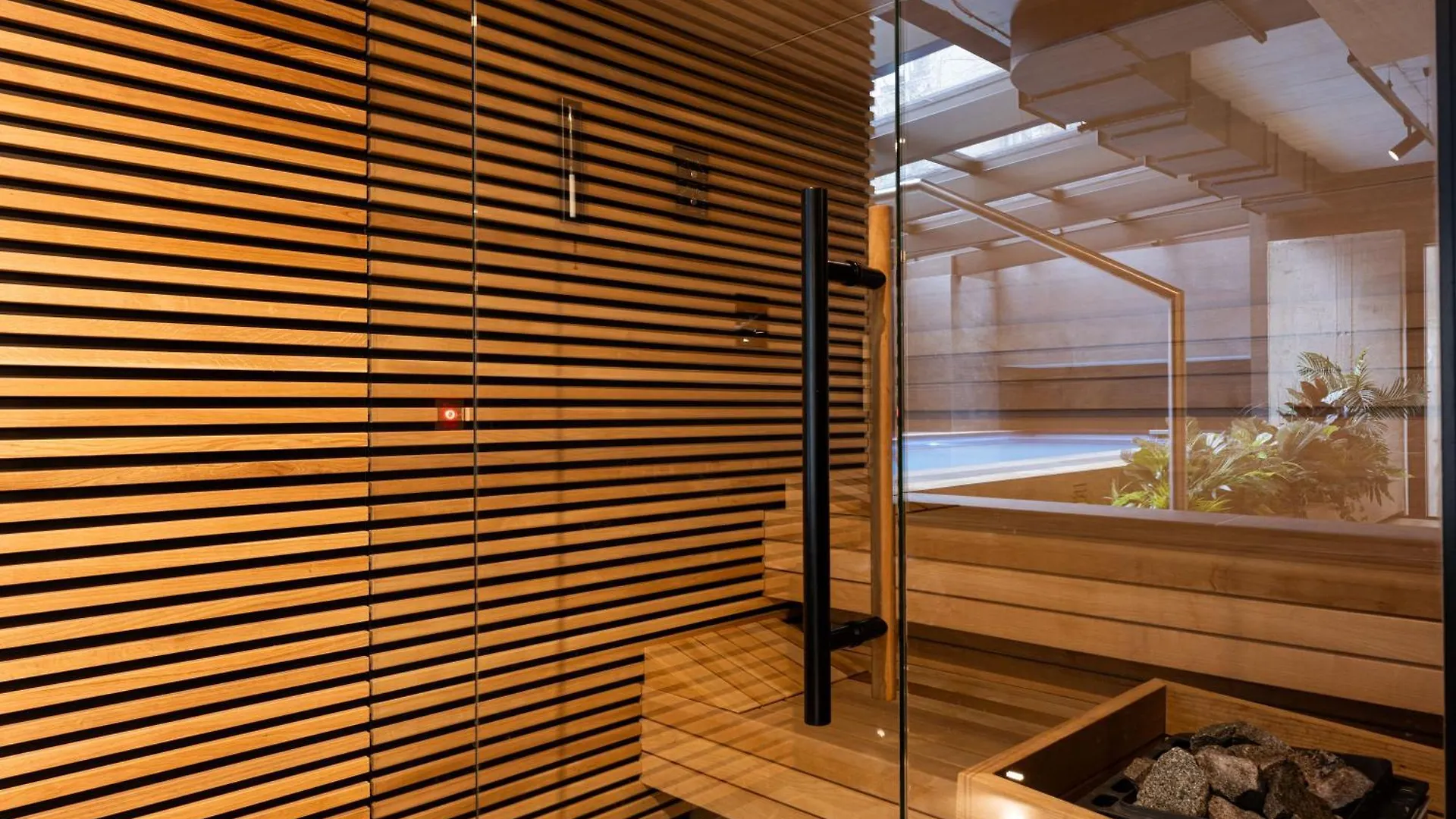 Native Apartments Kosciuszki 39I24 Krakow